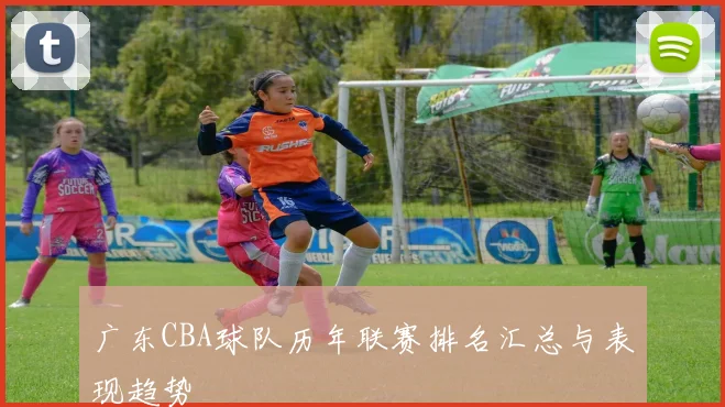 广东CBA球队历年联赛排名汇总与表现趋势