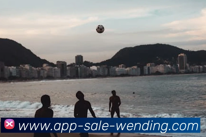 App Interface Preview